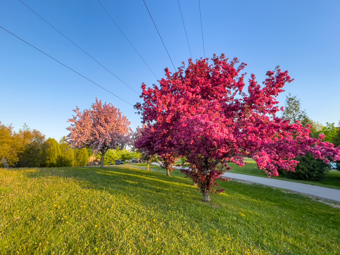 Ontario, Canada.